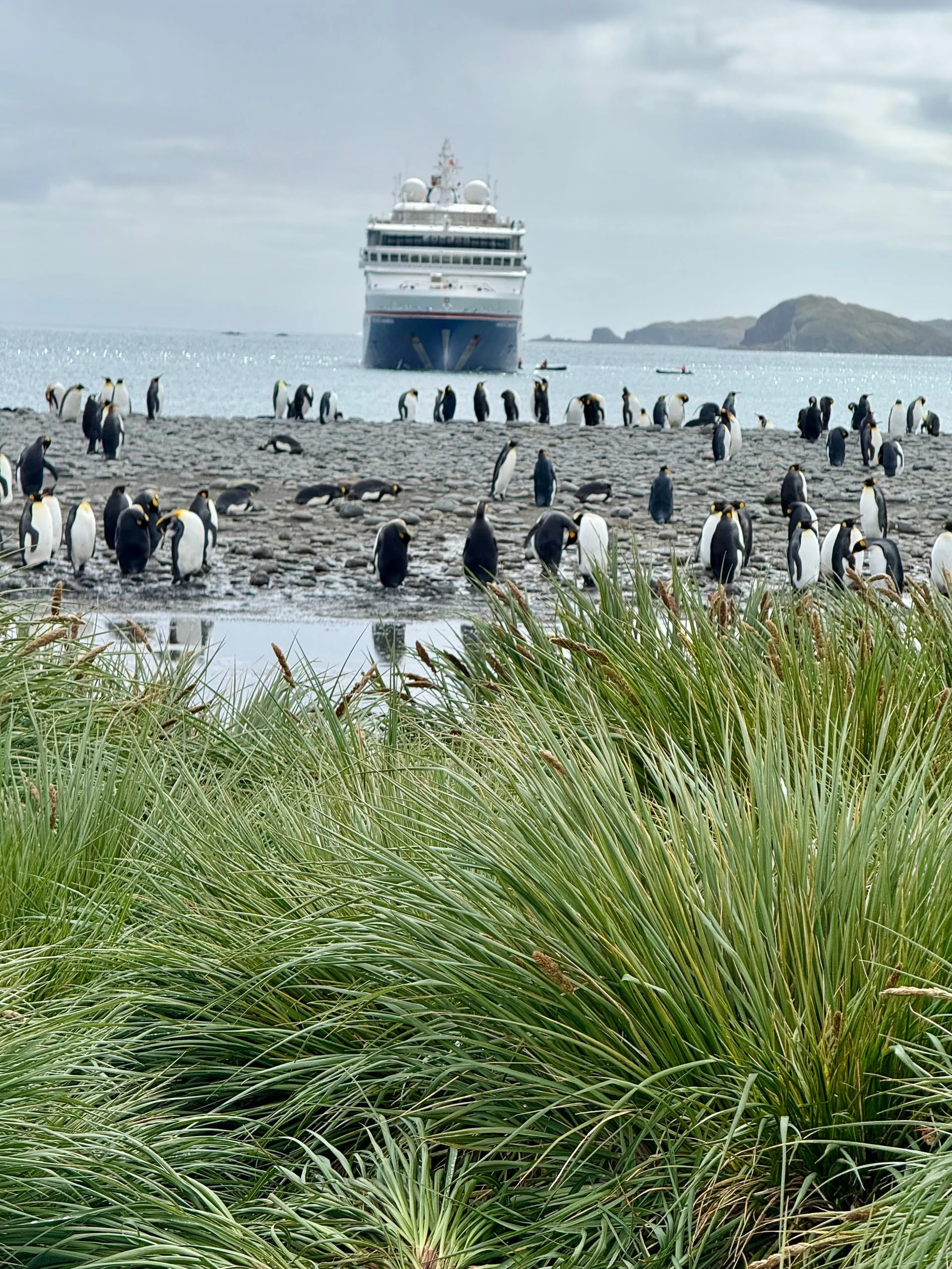 Auszeit-Stand auf dem Fernweh Festival Erlangen