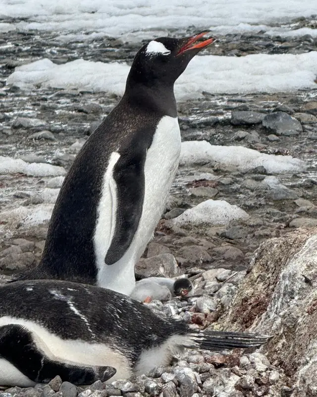Abenteuer und Wildnis
