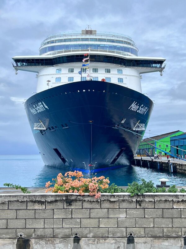 Kreuzfahrtschiff im Hafen mit Blick auf die Küste – Landausflüge selber planen oder über die Reederei buchen