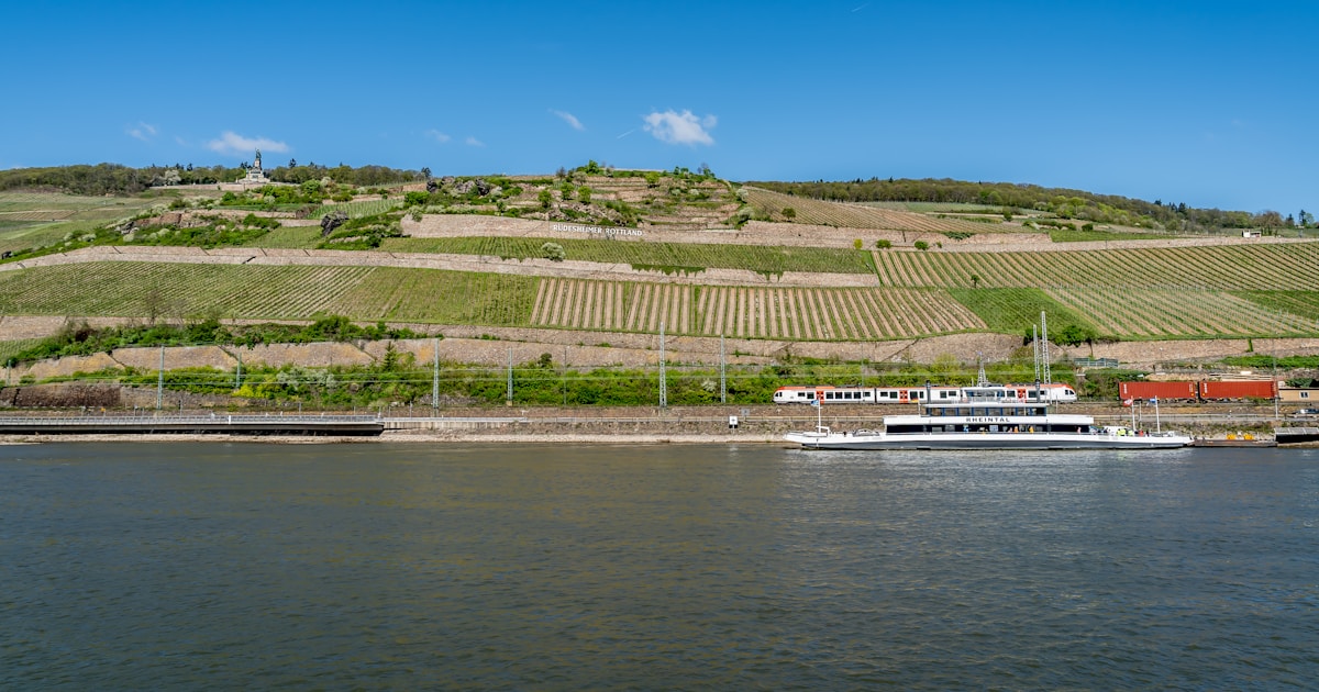 Flussschiff im Rheintal vor Weinbergen – typische Kulisse einer Flusskreuzfahrt in Europa
