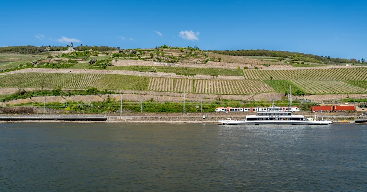Flussschiff im Rheintal vor Weinbergen – typische Kulisse einer Flusskreuzfahrt in Europa