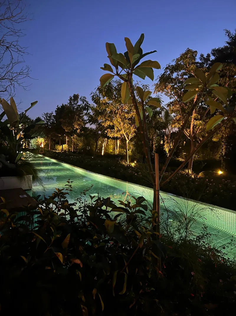 Lara Barut Collection: Beleuchteter Pool zwischen Palmen und Garten.