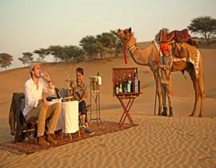 Privates Dinner mit Kamelen in den Dünen der Wüste Thar
