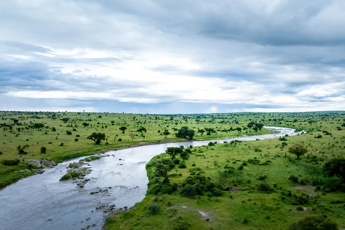 Fluss und grüne Landschaft in der nördlichen Serengeti aus der Luft
