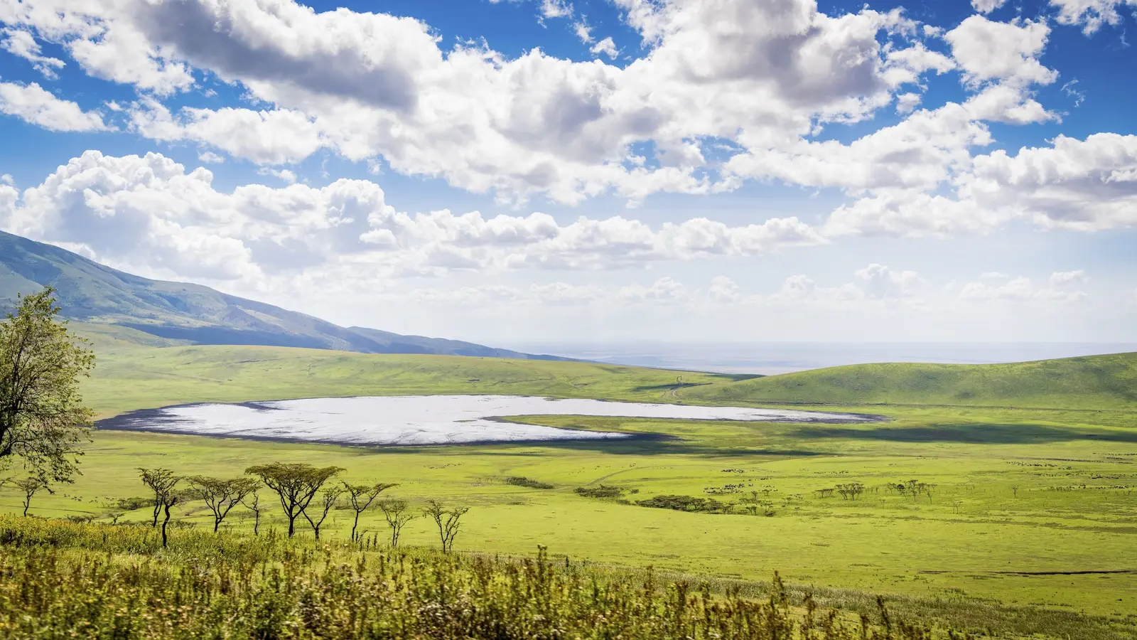 Weite grüne Landschaft und Kratersee im Ngorongoro-Krater