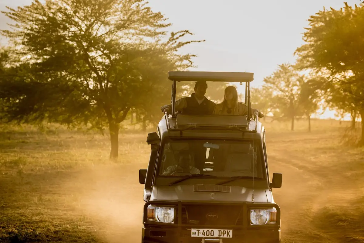 Zebras und Safarifahrzeug in goldenem Licht in der Serengeti