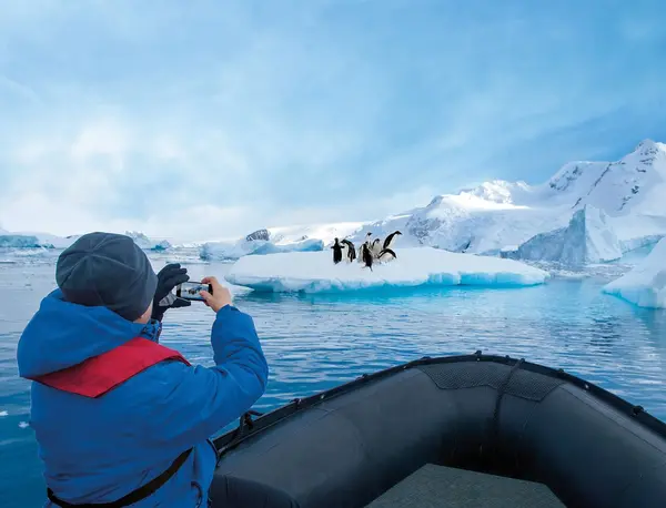 Eisberge und arktische Landschaft
