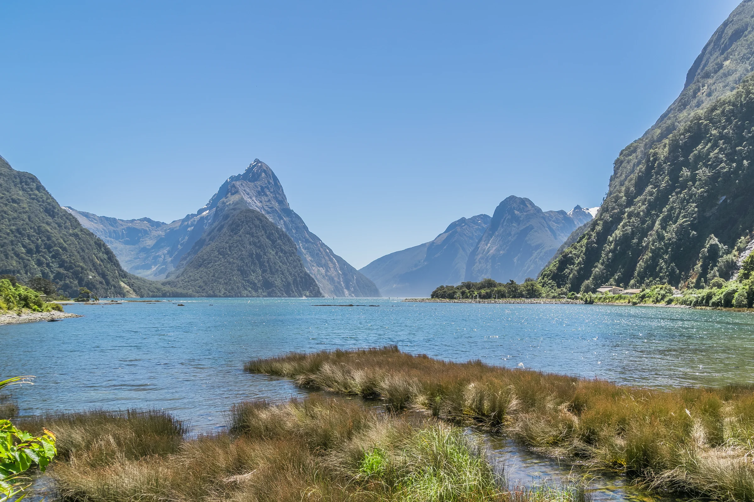 Milford Sound mit steilen Bergen und ruhigem Wasser