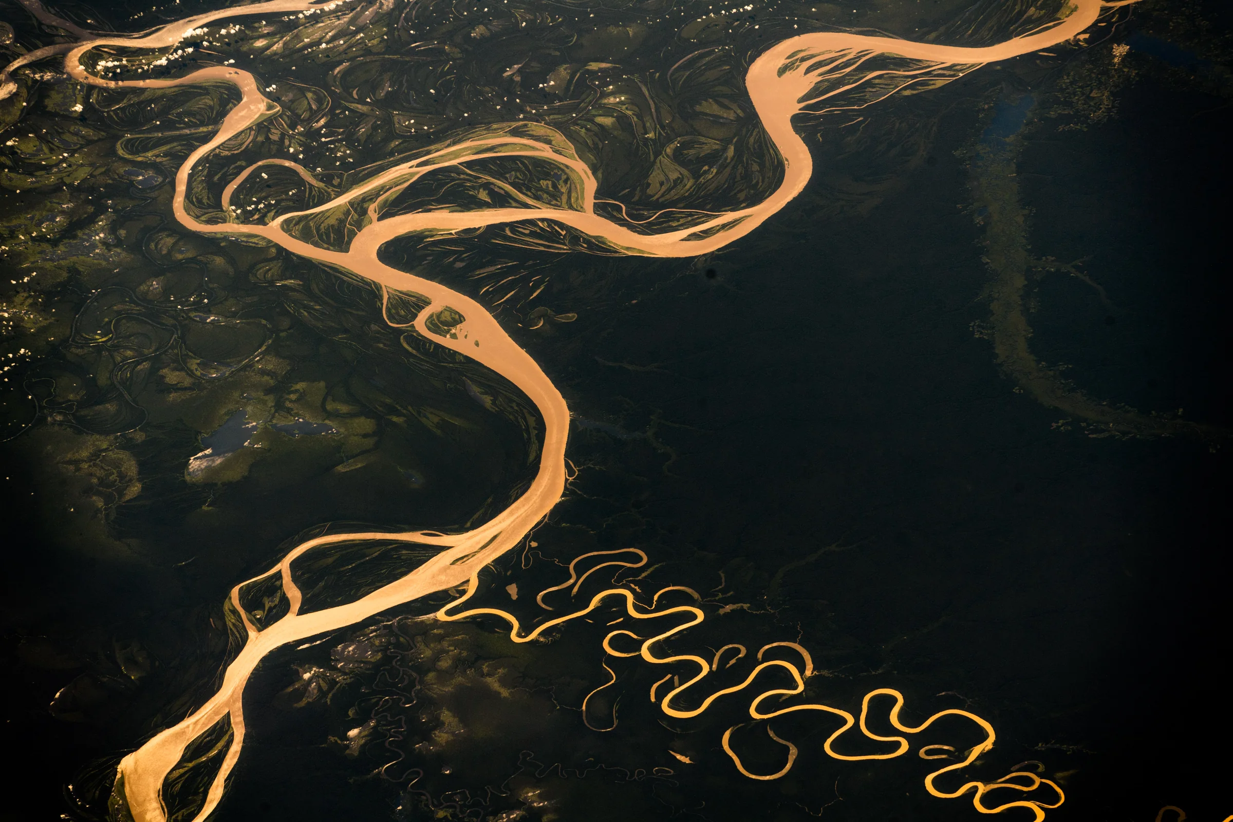 Weite Mäander des Amazonas im grünen Regenwald